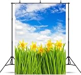 Qinunipoto 背景布 春 背景 1x1.5m 花 青空 背景 風景壁掛け 壁飾り 撮影用 撮影布 バックグラウンド 写真 撮影 ポリエステル バック布