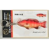 ドロップスキーホルダー　　　アカジンミーバイ