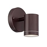 Acclaim 1401ABZ LED Wall Sconces Collection 1-Light Wall Mount Outdoor Light Fixture, Architectural 