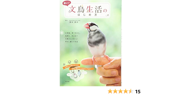 楽しい文鳥生活のはじめ方 浜本 麻衣 本 通販 Amazon