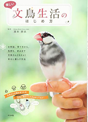 楽しい文鳥生活のはじめ方 楽しい文鳥生活のはじめ方