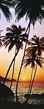 Sunsetsポスター写真壁紙 – Sunny Palms（79 x 34インチ)