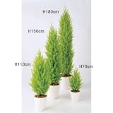 エフプランター 人工観葉植物-ゴールドクレストツリー-150-8号鉢-RP265