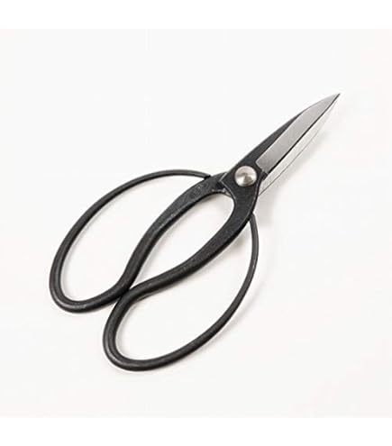 Amazon | 源造 植木鋏 (松葉切) 黒染 230mm | 園芸用はさみ