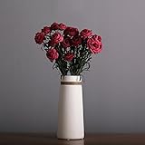 シンプルな花瓶の装飾品リビングルームのフラワーアレンジメントアート麻ロープの装飾品水の花瓶星の完全なドライフラワーの花瓶