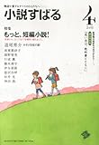 小説すばる 2013年 04月号 [雑誌]
