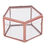 Dovewill プランター　結婚式　ミニ　五角形　透明　ガラス　宝石箱　卓上植物プランター　装飾