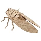 つくるんです ポケットバグズ アブラゼミ 【日本公式販売／日本語説明書付】