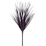 Torre & Tagus Desert Long Spike Bloomステムパープル
