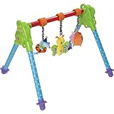 TAF TOYS タフトイズ ジュニアジム