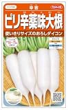 【種子】ピリ辛薬味大根 3ml