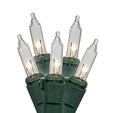 Vickerman 9144109クリアMini Twinkleクリスマスライトグリーンワイヤ付き、50のセット