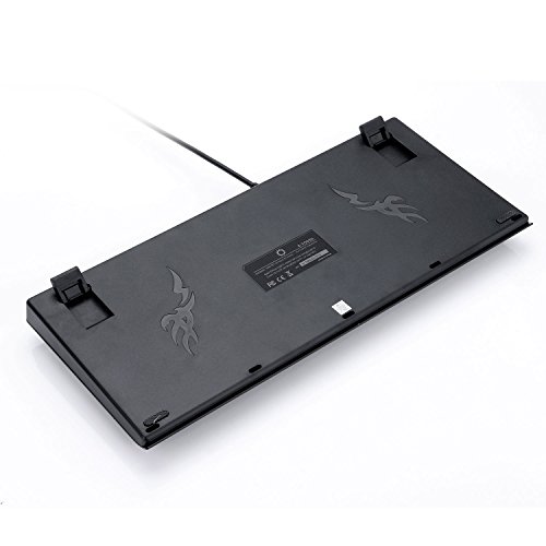 North Crown(ノースクラウン) / P-1000の画像4