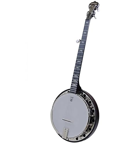 Amazon.co.jp: Deering Artisan Goodtime 5-String Openback Banjo