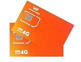 お得な2枚セット Vietnamobile ベトナムプリペイドSIM 4G・3G 20日利用 データ容量80GB
