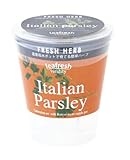 フレッシュハーブ　イタリアンパセリ