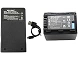 WELLSKY VW-VBT380-K VW-VBT380 互換バッテリー 1個 + VW-BC10 / VW-BC10-K 超軽量 USB Type-C 互換充電器 1個 [ 2個セット] [ 純正充電器で充電可能 残量表示可能 純正品と同じよう使用可能 ] パナソニックに向け ビデオカメラ
