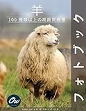 羊: フォトブック