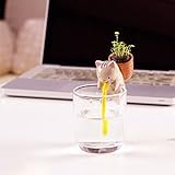 Idealhere かわいい ミニ動物 自動吸水植木鉢 自動吸水装置 盆栽用品 ガーデニング 飾り (猫 （ワイルドイチゴ種子）)