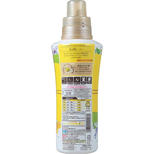 ソフラン柔軟剤おすすめ人気ランキング アロマリッチやプレミアム消臭など300人に調査 モノレコ By Ameba