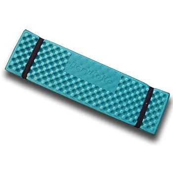 BeryKoKo レジャーマット 超厚 折りたたみ 20mm厚 XPE素材採用 専用収納袋付 レジャーシート 超軽量 撥水 水洗い 保温 断熱 キャンプ ピクニック (グリーン) 正規品/18ヶ月保証