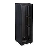 42U LINIER Server Cabinet - Vented/Vented Doors - 24" Depth [並行輸入品]