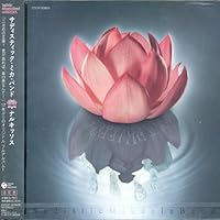 DVDサディスティック・ミカ・バンド/晴天 LIVE IN TOKYO 1989 Amazon.co.jp: 晴天 LIVE IN TOKYO 1989 [DVD