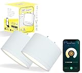 エジソンスマート ミニシーリングライト (引っ掛けシーリング用/ホワイト) ×2点セット Alexa対応 スマートライト スマート照明 RST-TZ367LWH