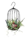 スパイス DECOR IMITATION GREEN CAGE XHDY4050