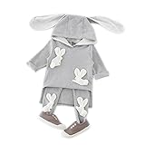 FEVON セットアップ　子供服　ベビー　上下セット　女の子 ガールズ キッズ　トップス+ズボン　2点セット　長袖　フード付き　春　秋　かわいいウサギ　立体　兎の耳付き　入学式　七五三　入園式　誕生日