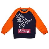 ボーイズ|キッズ|トップス長袖[恐竜倶楽部]裏起毛トレーナー|スウェット|長袖トップス|ラグラン袖|恐竜柄|スウェット 100cm D柄-ネイビー
