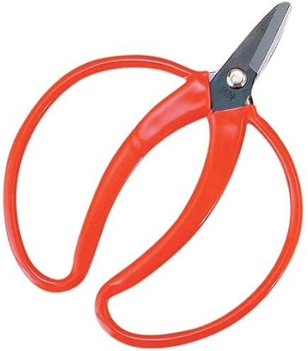 Amazon | 近正(Chikamasa) CHIKAMASA みかん鋏 大 145mm M-100 | 園芸
