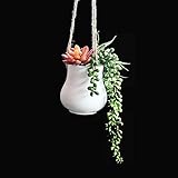 RaiFu 植木鉢　吊り下げ　おしゃれ　ホワイト　陶器　植物　ホーム　オフィス　バルコニー　装飾　デコレーション