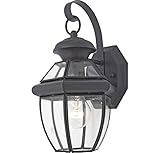 Quoizel NY8315K Newbury Light Outdoor Wall Lantern, Mystic Black [並行輸入品]