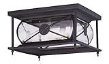 Livex Lighting 2090-07 Providence 2-Light Outdoor Ceiling Mount, Bronze [並行輸入品]