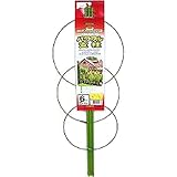 渡辺泰 パワフル支柱 6号 60cm