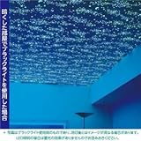 光る壁紙（蓄光） のりなしタイプ サンゲツ FE-4041 93cm巾 50m巻〔防カビ〕〔日本製〕