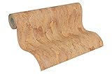 a.s. Créationビニール壁紙Dekora Natur 5 662217ブラウンパターン/ Subjekt浴室、ホール、キッチン