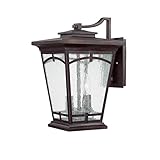 Capital Lighting 9532BB Outdoor Wall Lantern with Seeded Glass Shades, Burnished Bronze Finish [並行輸入
