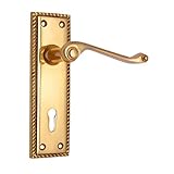 Adonai Hardware Abiram Brass Door Handle with Plate