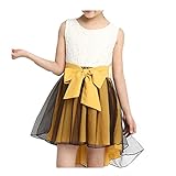 Ruideng 女の子の夏の新しいドレスプリンセスドレスノースリーブシフォンパーティードレスワンピースのスカートのドレスの公演発表会 結婚式 入園式 演奏会 (110cm, ブラック) (160cm,