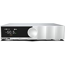 Amazon.co.jp: S.M.S.L PA200 アンプ パワーアンプ 窒化ガリウム（GaN