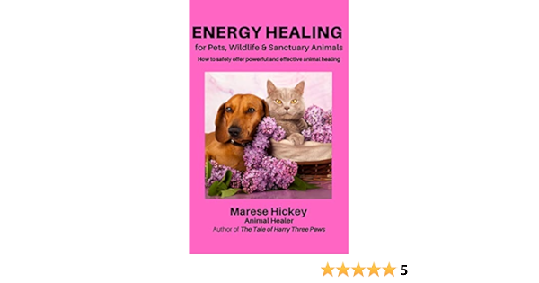 three paws pet supply