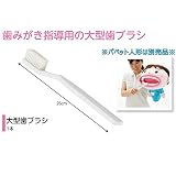 大型歯ブラシ 歯磨き指導用 大きな歯ブラシ 全長：約26cm