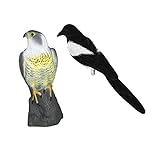 Homyl 2個セット　鳥　狩猟　餌　トラップ　害虫駆除　庭　かかし装飾　ガーデン風景　動物モデル　 風景装飾　写真道具　家飾り　人工　デコレーション