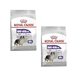 ロイヤルカナン CCN ミディアムステアライズド 3kg×2個セット （避妊・去勢犬用 中型犬専用 成犬〜高齢犬用）