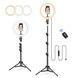 【2020最新進化版 10in】LEDリングライト TRYONE 10インチ 照明ライト USBライト 撮影定常光ライト 光源3種類 300