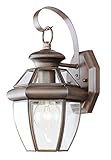Livex Lighting 2051-58 Monterey 1 Light Outdoor Imperial Bronze Finish Solid Brass Wall Lantern with