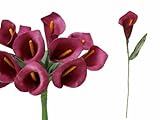 BalsaCircle 60個Single Stem人工Mini Calla Lilies – 17色 レッド