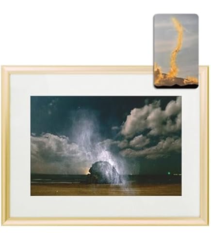 Amazon.co.jp: 秋元隆良 奇跡の写真 「金色晩龍」【金龍カード特典付